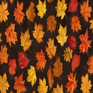 fall leaf png