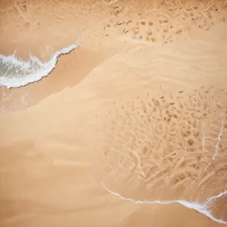 summer beach background