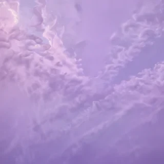 light purple backgorund