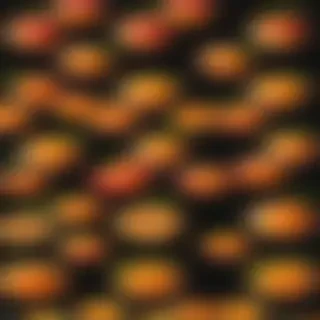 peach png