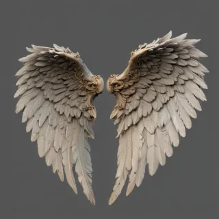 realistic angel wings png