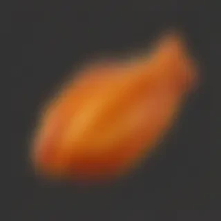 chicken wing png