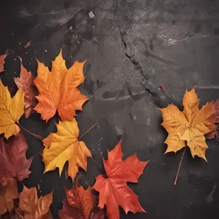 iphone fall wallpaper