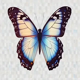 transparent background butterfly png