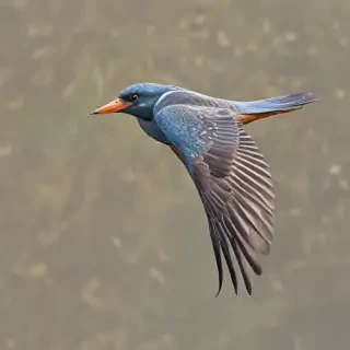 bird flying png