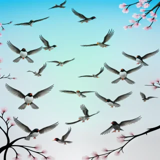 birds transparent background