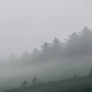 foggy background