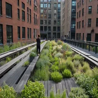 high line photos