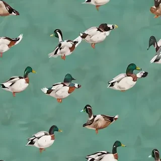 duck background