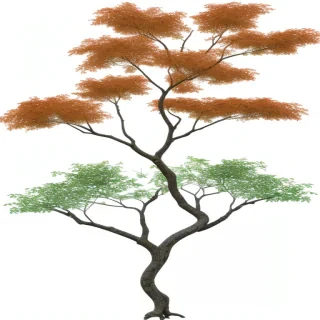 tree branch png