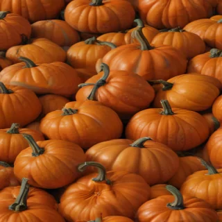pumpkin png