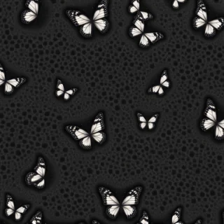 black butterfly wallpaper