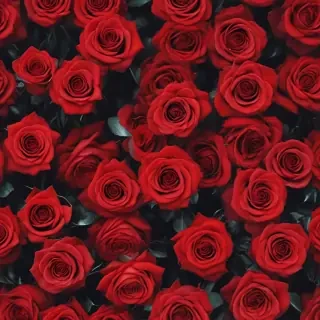 red roses aesthetic