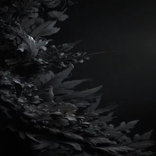 black bg aesthetic