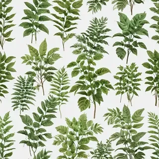 plants transparent background