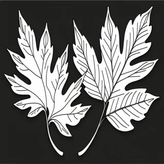 black and white leaf clip art