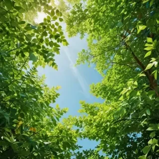 background with green leaves