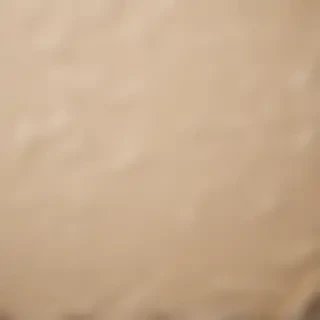 torn paper texture