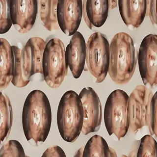 circle images