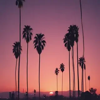 la backgrounds