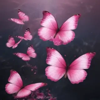 pink butterflies png