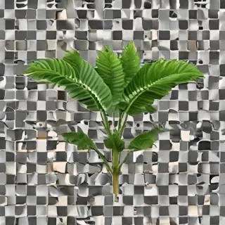 plant png clipart