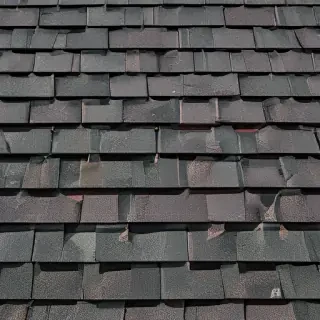 pictures of shingles