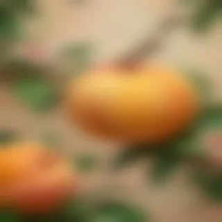 peach background wallpaper