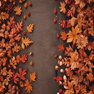 fall aesthetic wallpaper iphone
