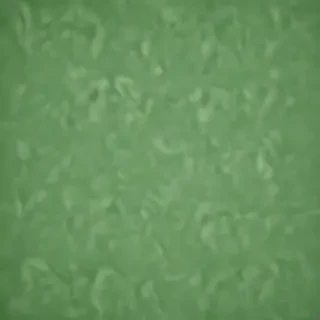plain green bg