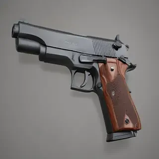gun no background
