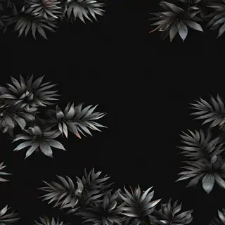 black bg aesthetic