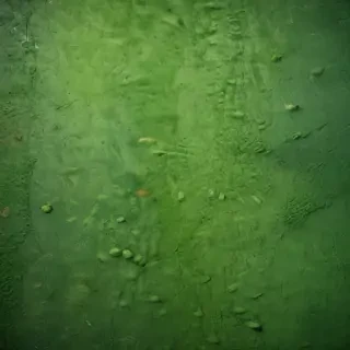 green textures