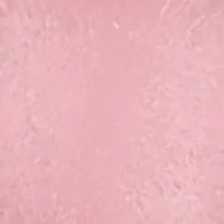 plain light pink background