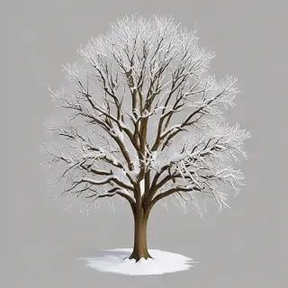 winter tree png