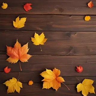 autumn wallpaper phone
