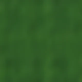 green bg plain