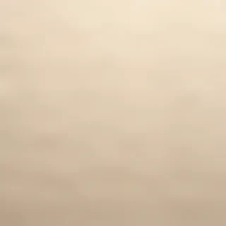 plain cream background