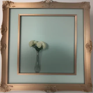 aesthetic frame