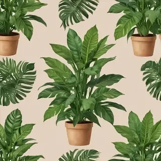 house plant png