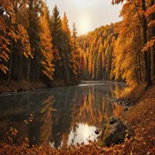 fall png
