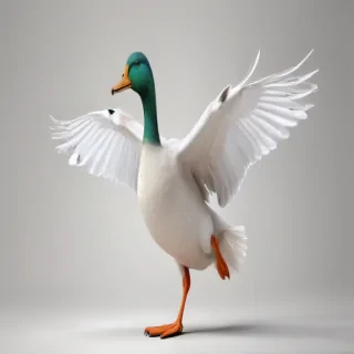 duck clipart