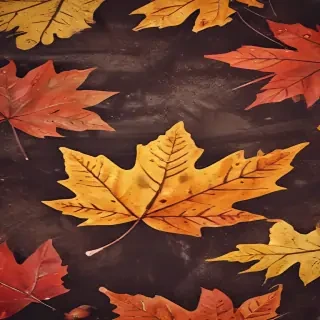 fall iphone background