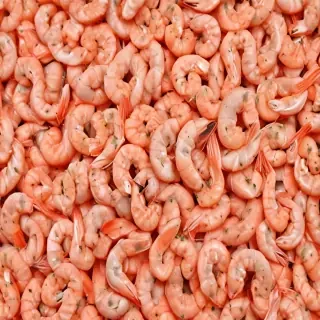 shrimp png