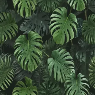 aesthetic monstera wallpaper
