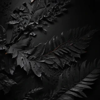 black wallpaper for iphone