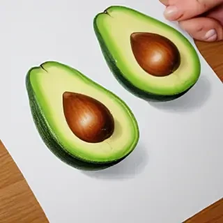 avocado drawing