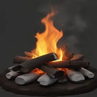 camp fire png