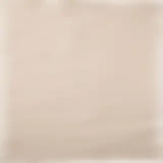 aesthetic ripped paper png