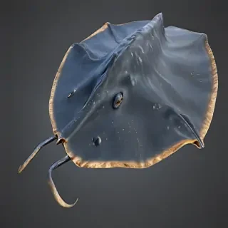 stingray png